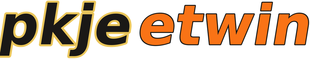pkjeetwin logo